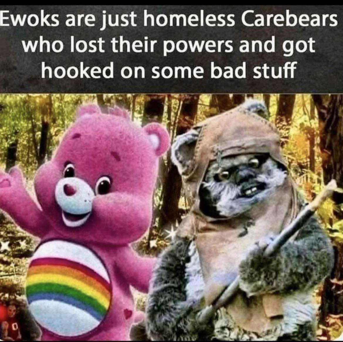 Drop Bear content
